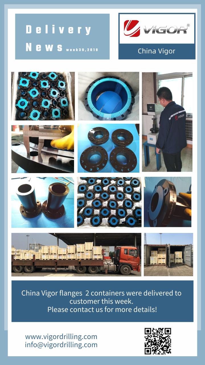 China Vigor flanges